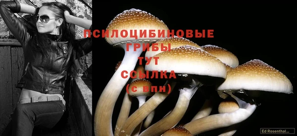 твердый Абдулино
