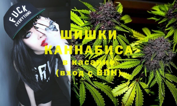 мдпв Алапаевск