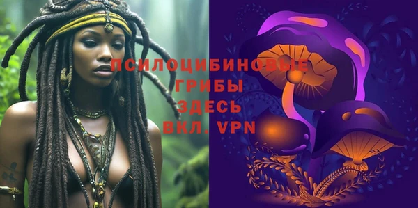 ПСИЛОЦИБИНОВЫЕ ГРИБЫ Абинск